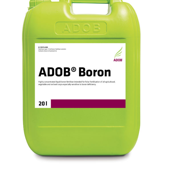 ADOB Boron