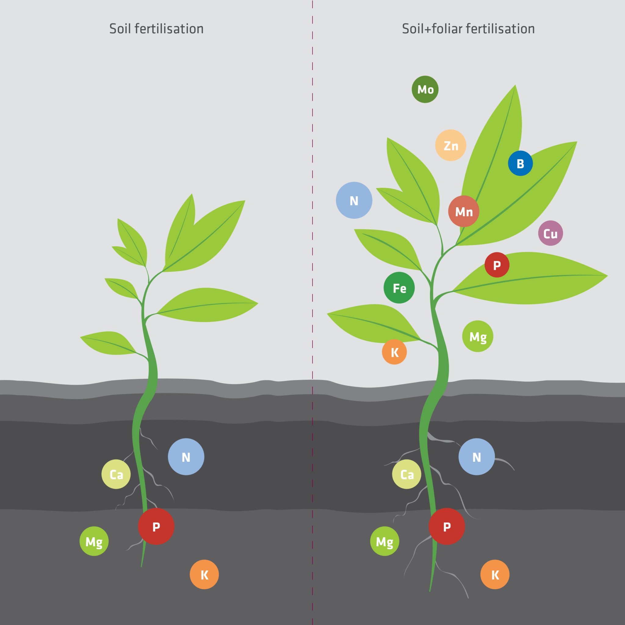 Foliar Fertilisation - ADOB Aa